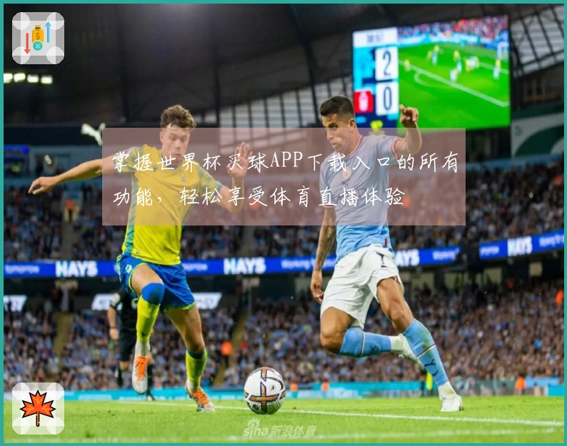 掌握世界杯买球APP下载入口的所有功能，轻松享受体育直播体验