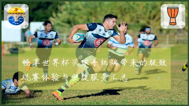 畅享世界杯买球手机端带来的极致观赛体验与便捷服务汇总